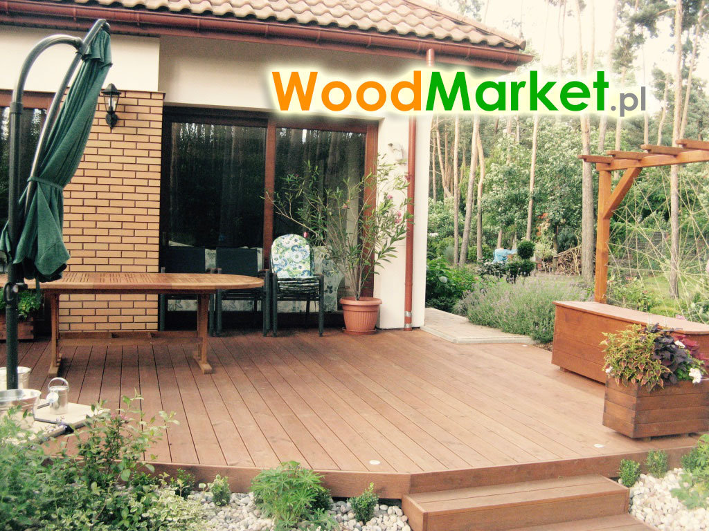 Taras modrzew syberyjski