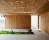 Alternatywa dla Modrzewia Syberyjskiego? Poznaj nasze propozycje!